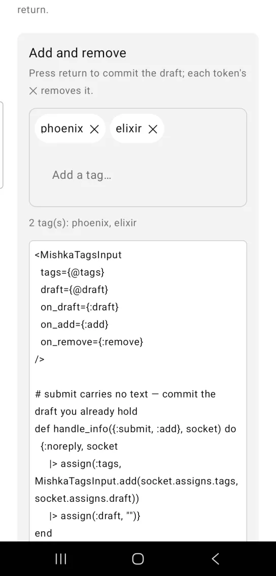 A tags input holding the pills phoenix and elixir, with the line 2 tag(s): phoenix, elixir below.