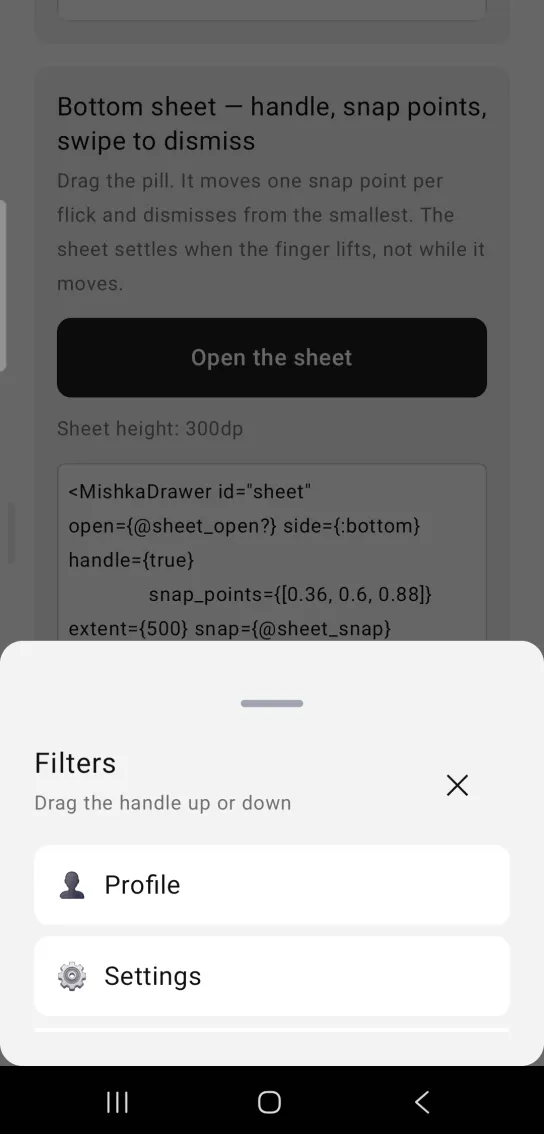 A bottom sheet titled Filters with a gray drag handle at the top, over a dimmed page, its last row cut off at the sheet's edge.